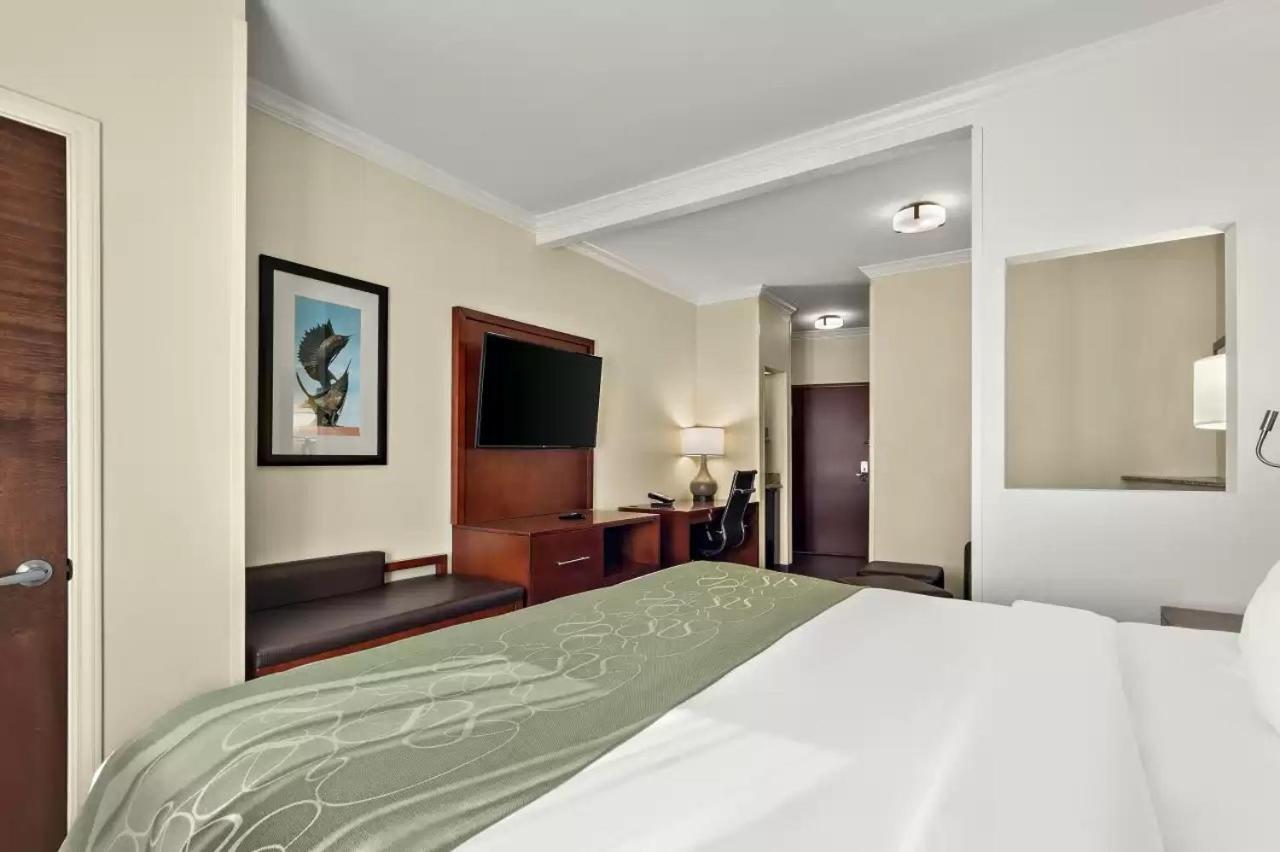 Comfort Suites Central Corpus Christi Ngoại thất bức ảnh