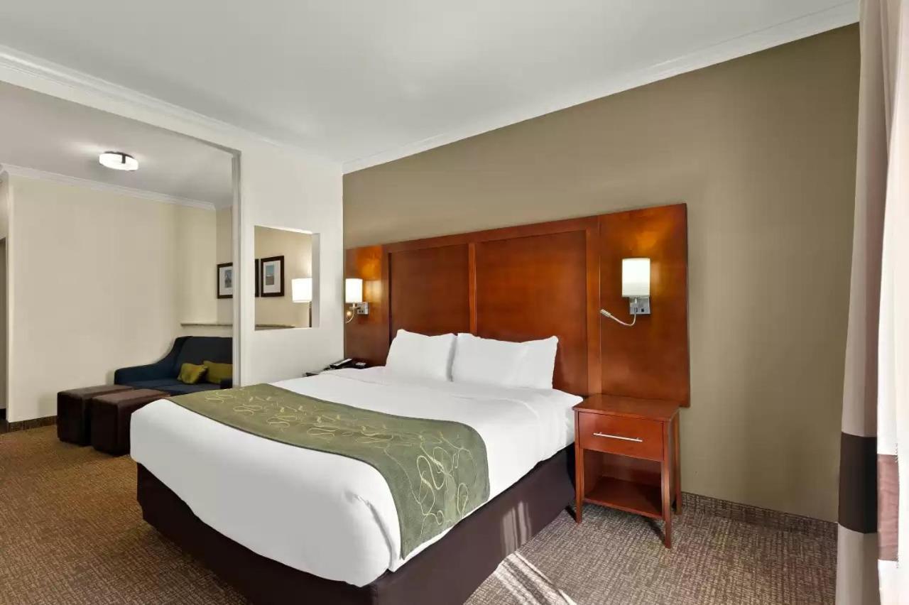 Comfort Suites Central Corpus Christi Ngoại thất bức ảnh