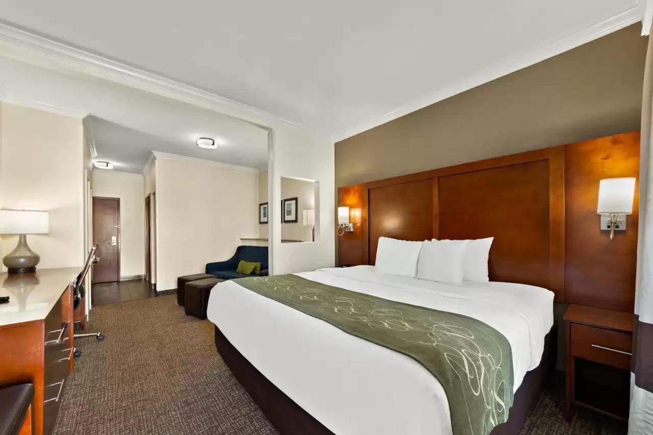 Comfort Suites Central Corpus Christi Ngoại thất bức ảnh