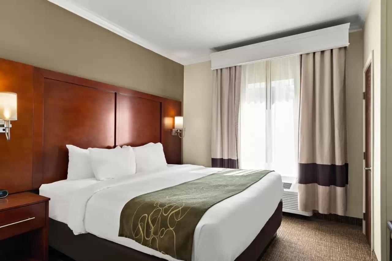 Comfort Suites Central Corpus Christi Ngoại thất bức ảnh